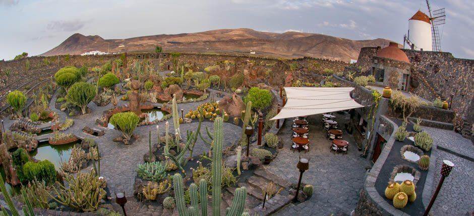 Jardín de Cactus Musea en toeristische centra van Lanzarote