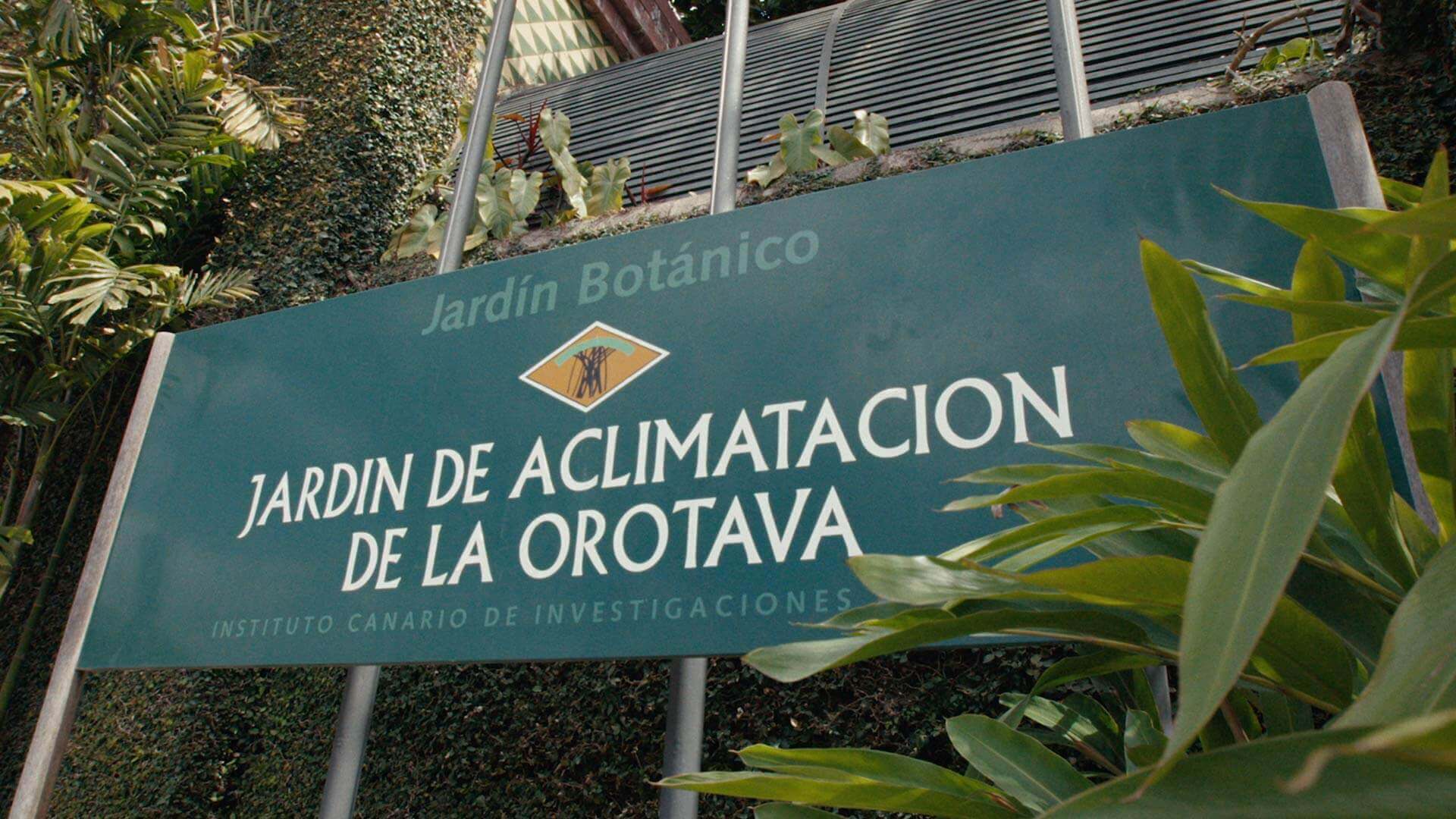 Acclimatisatietuin van La Orotava, Tenerife