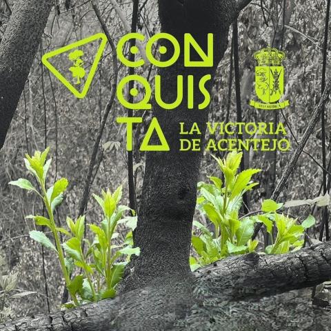 434400436_1161144601720454_2744861170755268219_n