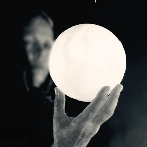 festival_luces_sombras