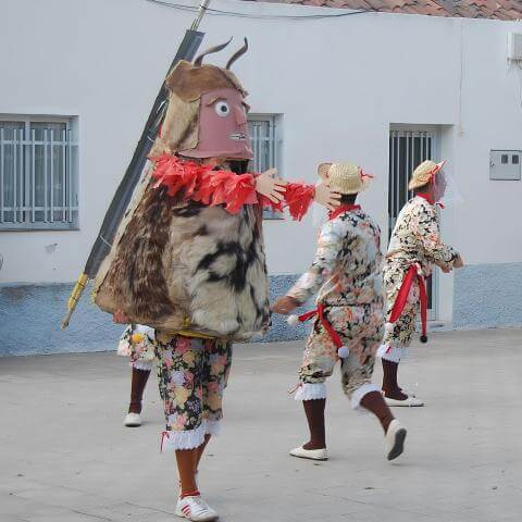 libreapalmar1_1