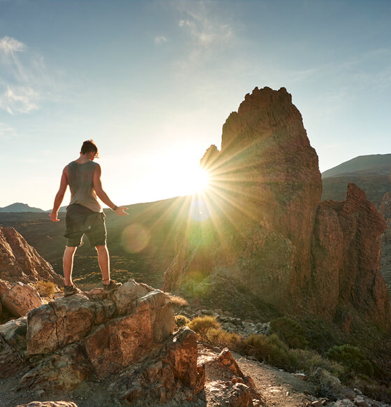 Parque Nacional Las Cañadas del Teide - listado