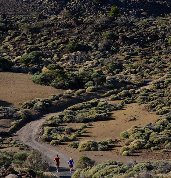 Los Cristianos - Teide - listado