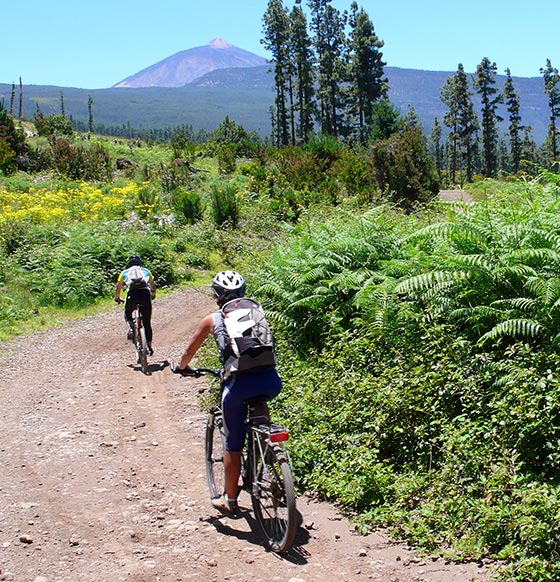 Ruta BTT en la vertiente norte de Tenerife - listado