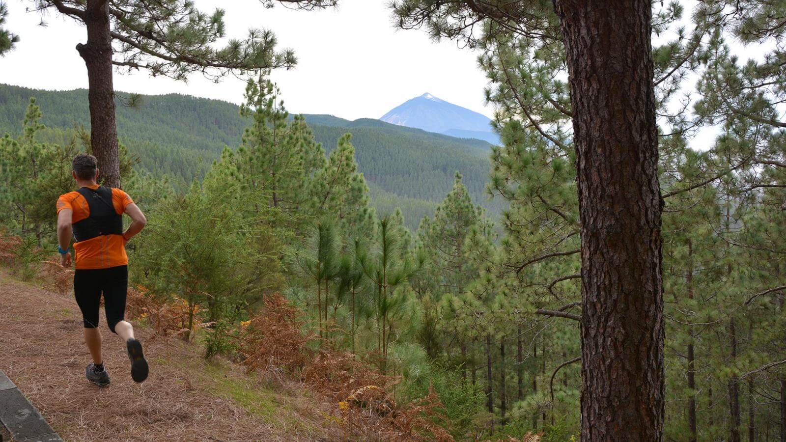 La Esperanza Hallo Canarische Eilanden