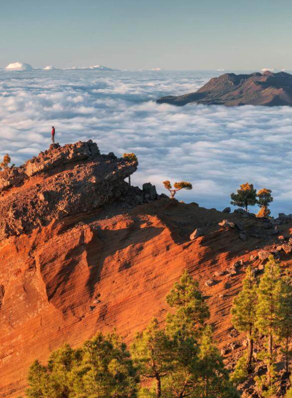 Punta de Los Roques op La Palma, met verlichte vulkaanruggen, de wolkenzee en Canarisch dennenbos.