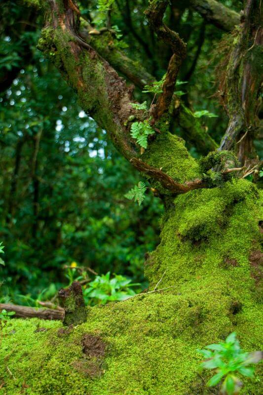 Una excursión a un espacio natural y una experiencia sensorial - galeria1