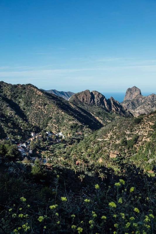 Los Loros - El Carmen