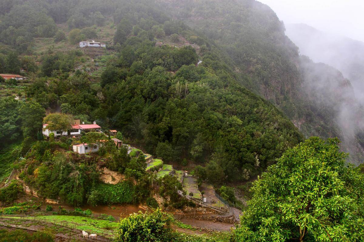 Parque Nacional de Garajonay, en La Gomera