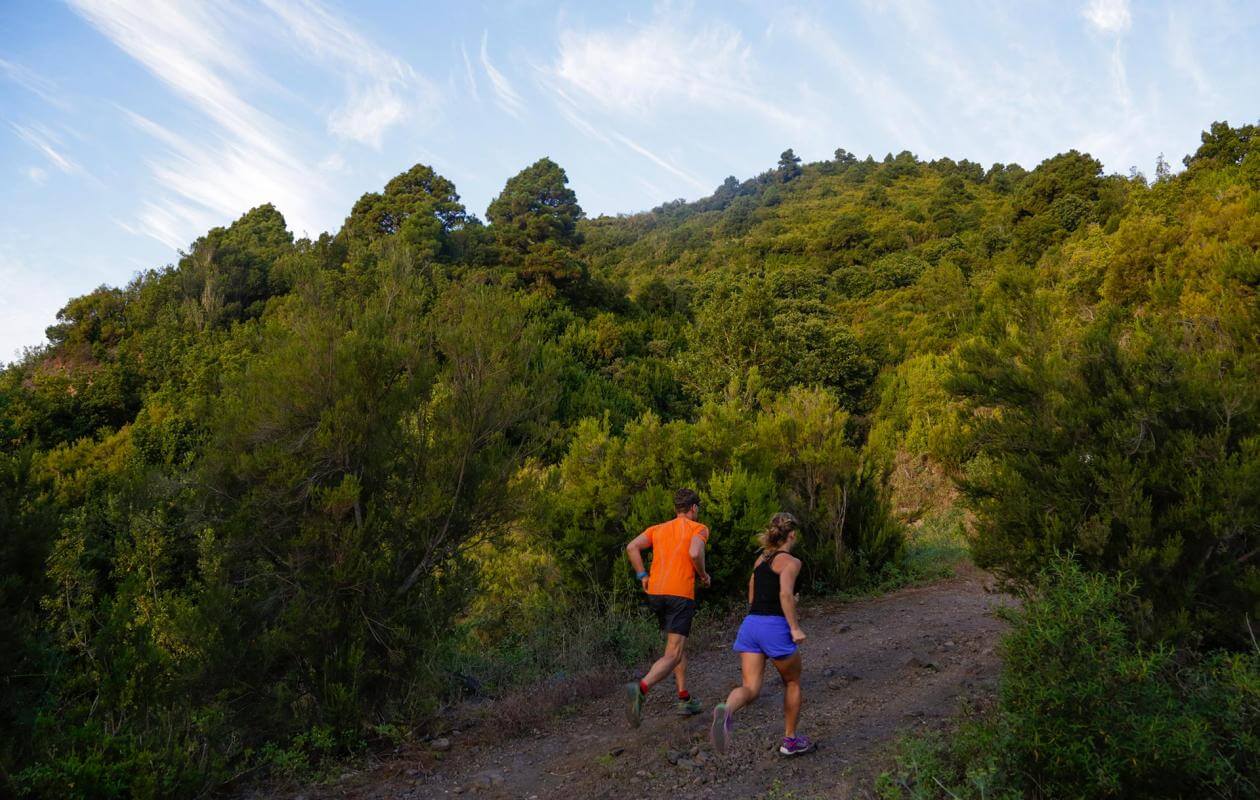 Candelaria - Santa Cruz de La Palma-Trail