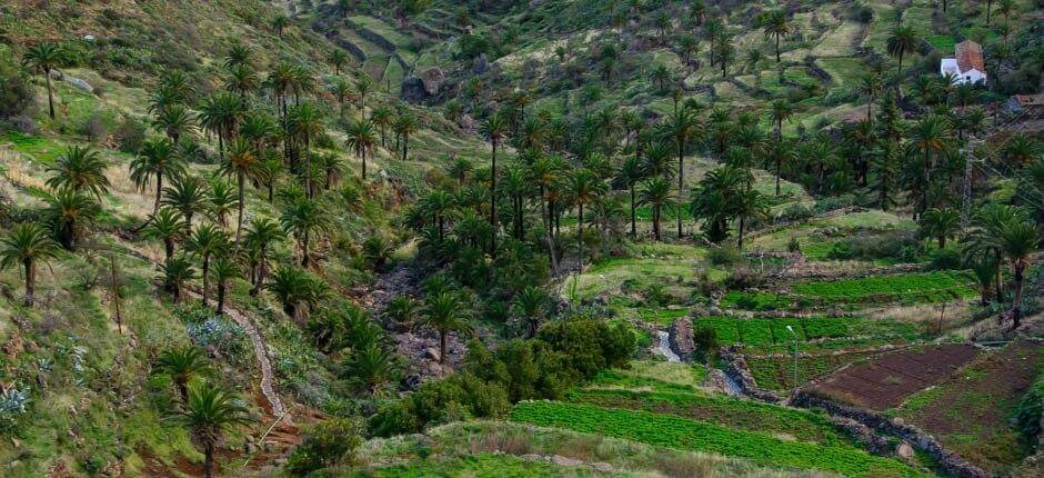 Imada boerderijen La Gomera