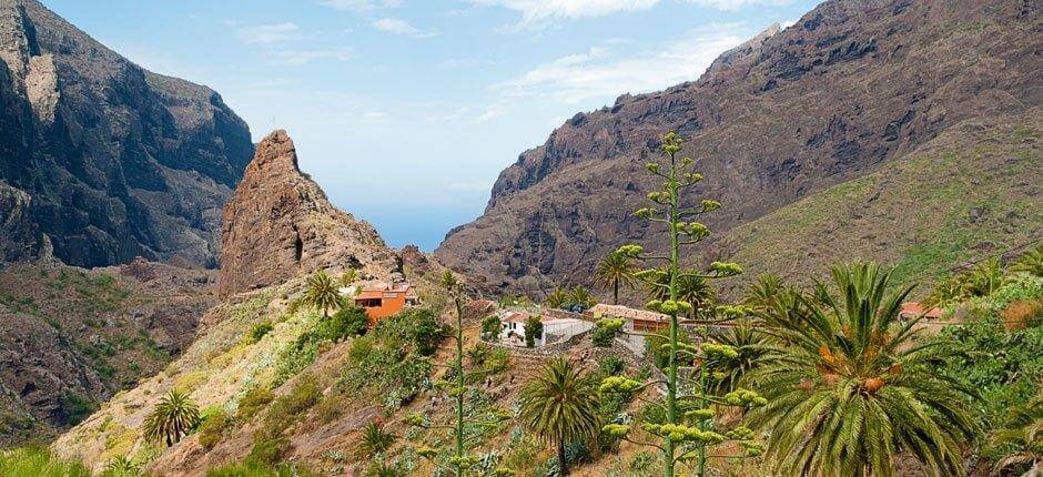 Masca boerderijen Tenerife