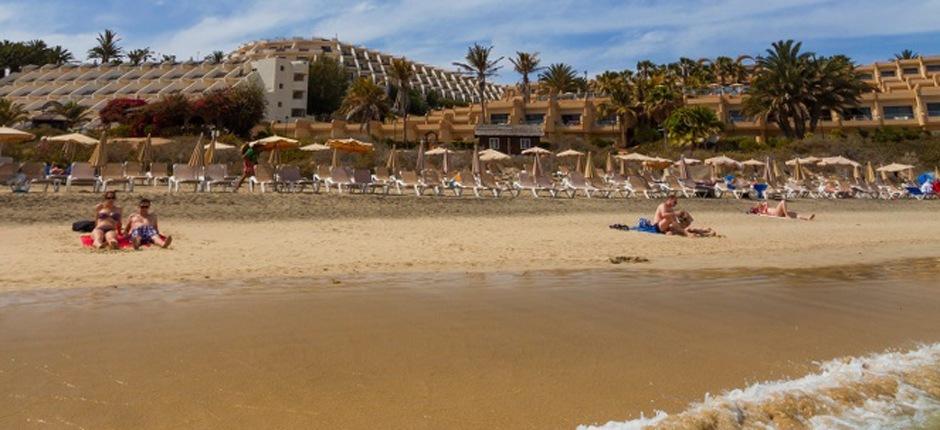 Playa de Costa Calma Populaire stranden in Fuerteventura
