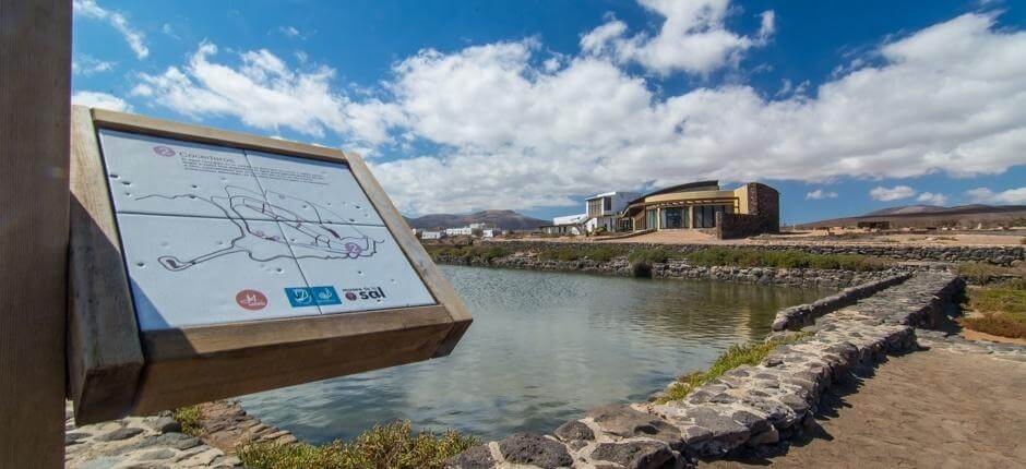 Museo de la Sal Musea in Fuerteventura