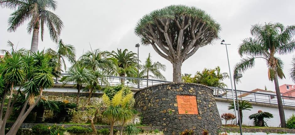 El Sauzal charmante dorpjes van Tenerife 