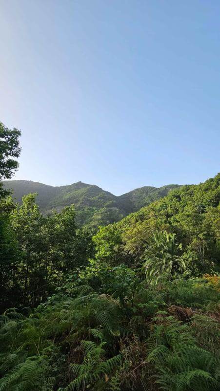 La Meseta de Hermigua