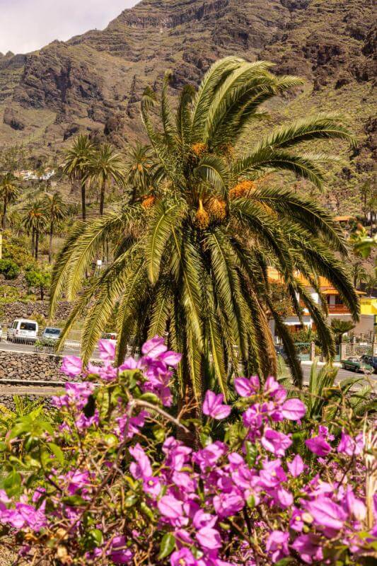 Sendero a la cascada en el barranco de Arure