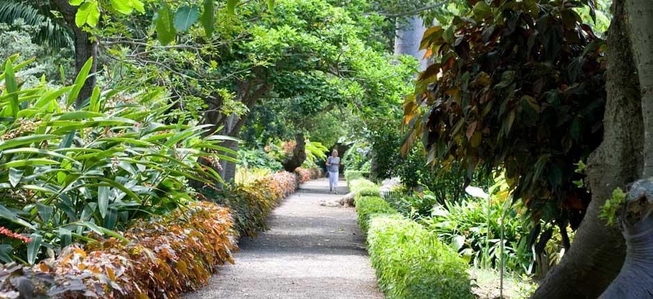 Jardín de Aclimatación de La Orotava Musea en toeristische centra van Tenerife