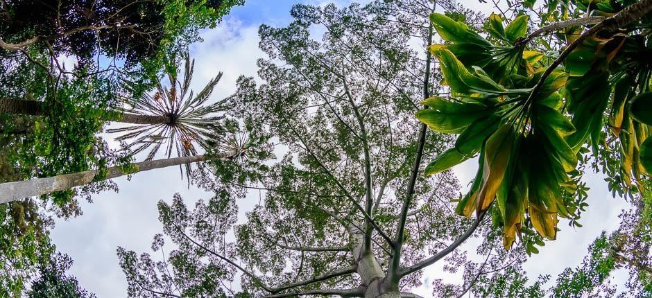 Jardín de Aclimatación de La Orotava Musea en toeristische centra van Tenerife