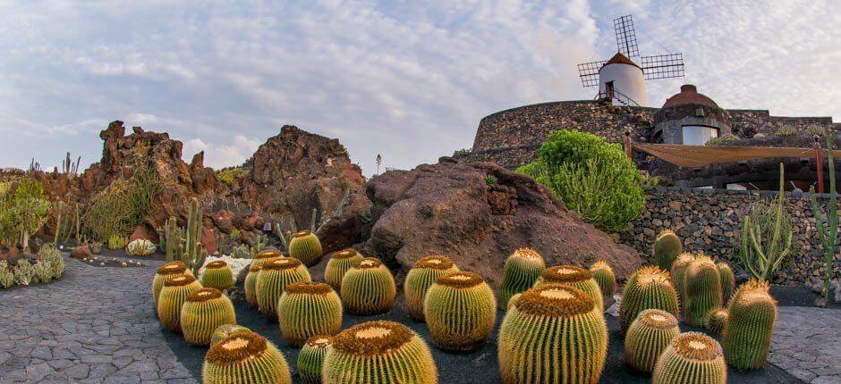 Jardín de Cactus Musea en toeristische centra van Lanzarote