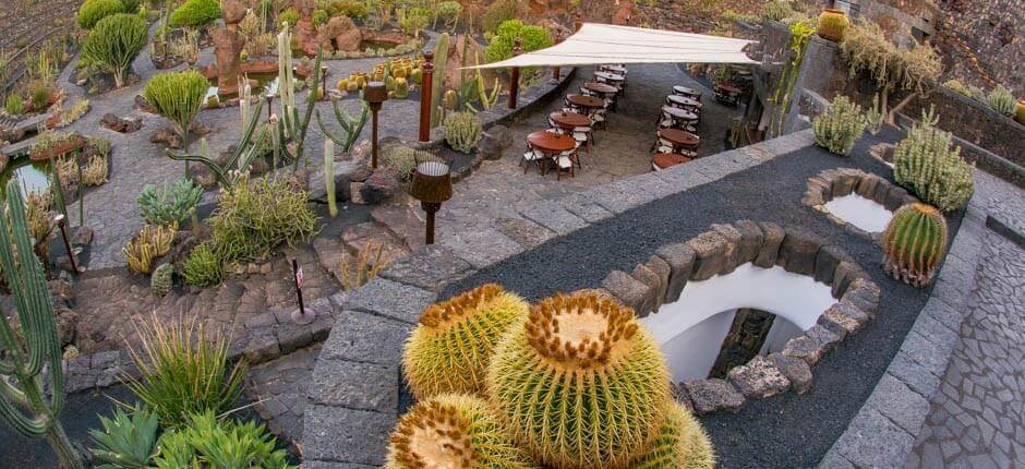 Jardín de Cactus Musea en toeristische centra van Lanzarote