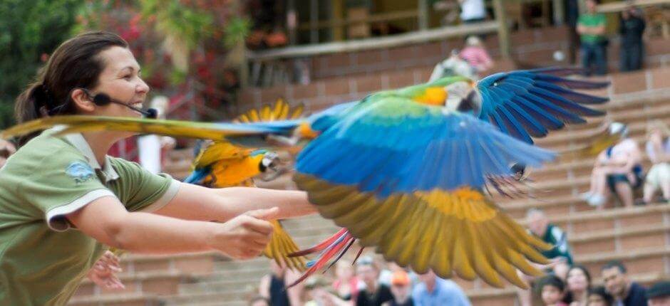 Jungle Park Zoo’s in Tenerife