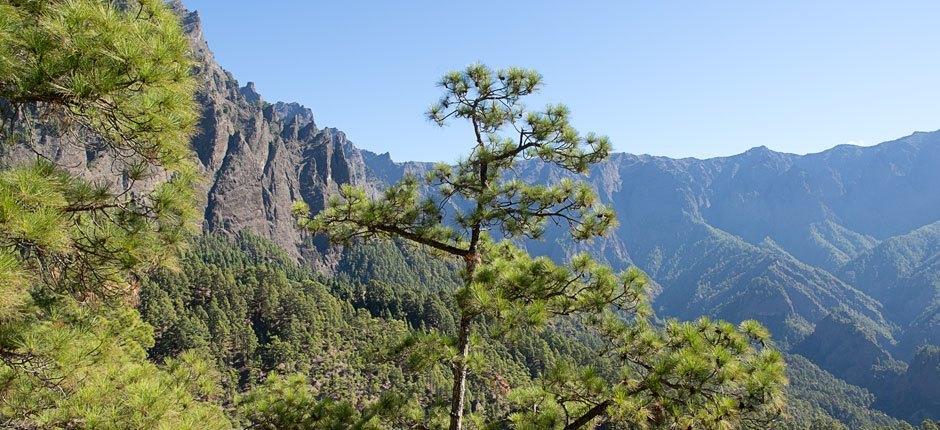 Caldera de Taburiente + wandelroutes op La Palma