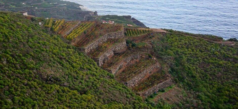 La Galga boerderijen La Palma