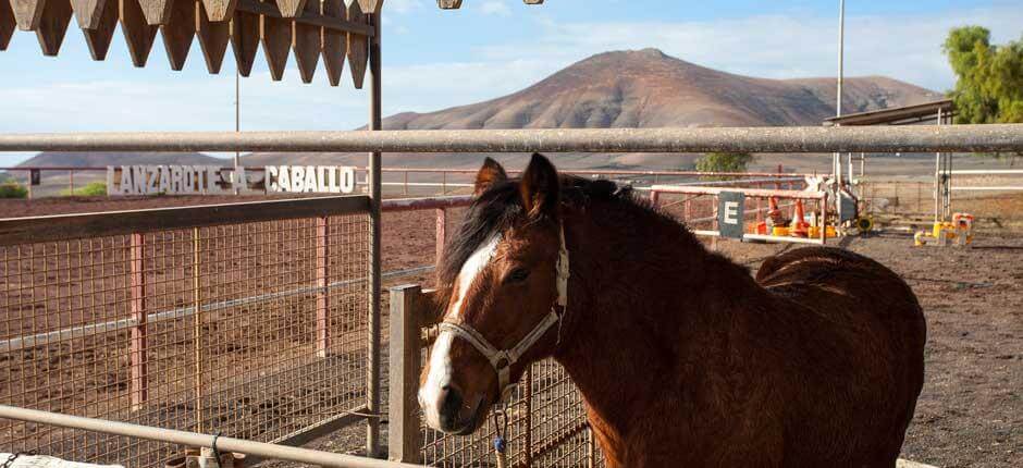 Lanzarote a Caballo Toeristische attracties in Lanzarote