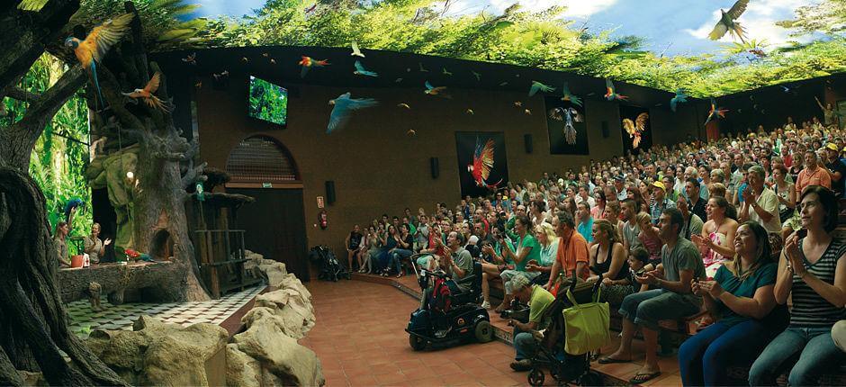 Loro Parque Zoo’s in Tenerife