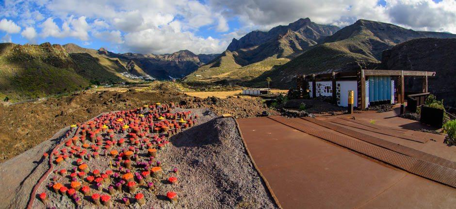 Maipés de Agaete Musea en toeristische centra in Gran Canaria