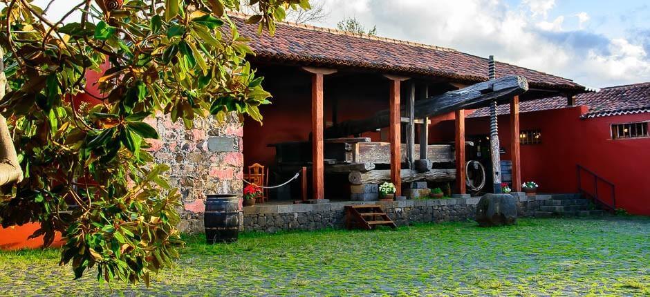 Casa del Vino y la Miel Musea en toeristische centra van Tenerife