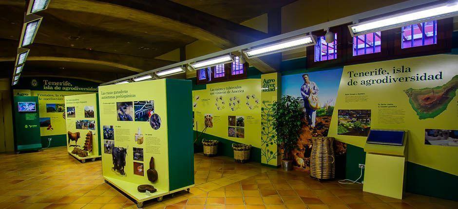 Casa del Vino y la Miel Musea en toeristische centra van Tenerife
