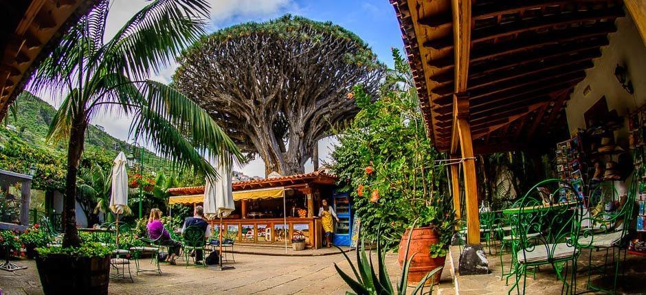 Parque del Drago Milernario Musea en toeristische centra van Tenerife