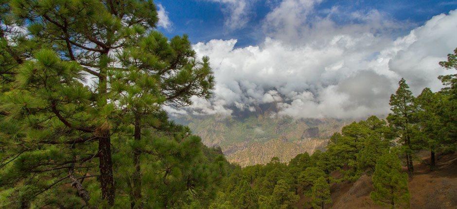 Parque Nacional de la Caldera de Taburiente, en La Palma