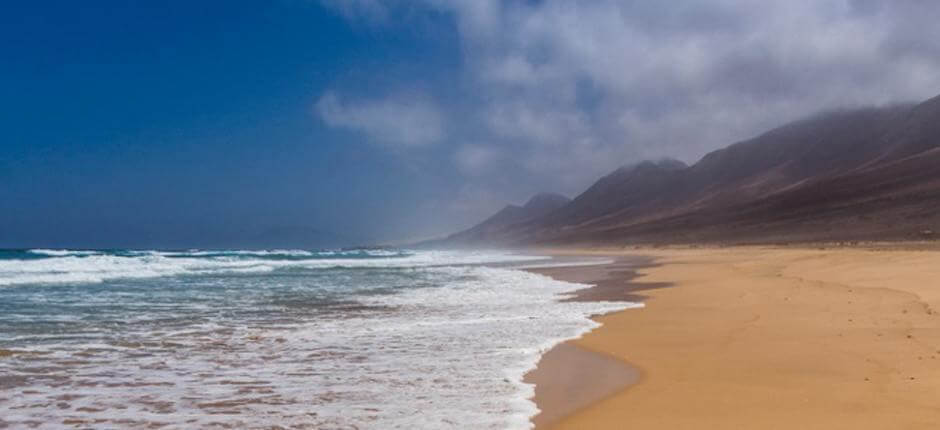 Playa de Cofete + Ongerepte stranden van Fuerteventura