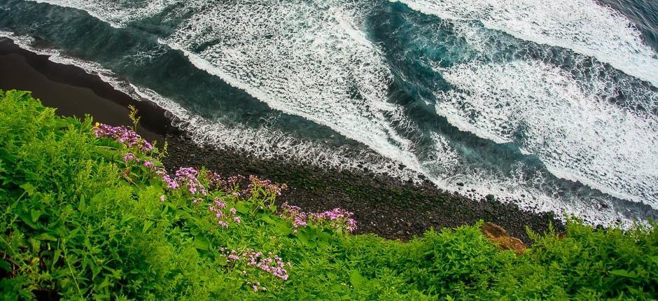 Playa de Los Patos + Ongerepte stranden van Tenerife
