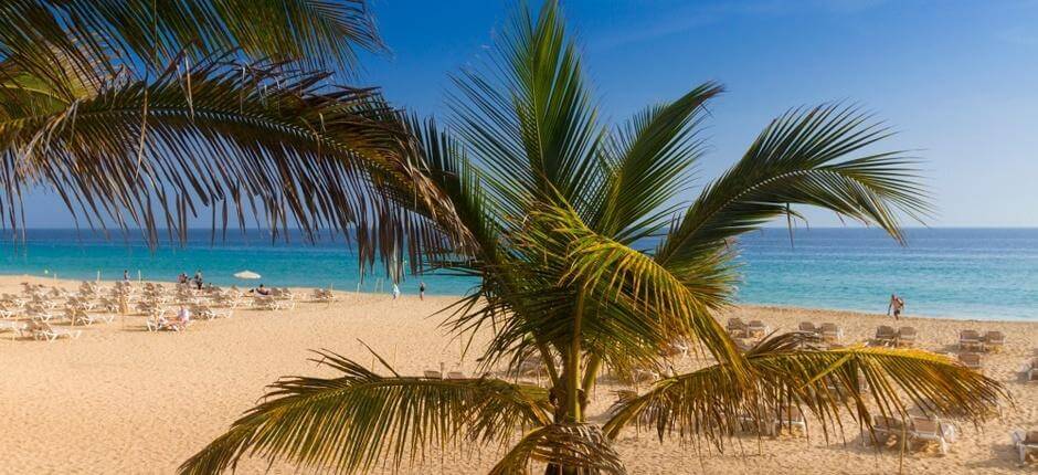 Playas de Morro Jable Populaire stranden in Fuerteventura