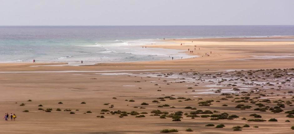 Kitesurf op het strand van Sotavento Plaatsen voor kitesurf op Fuerteventura 