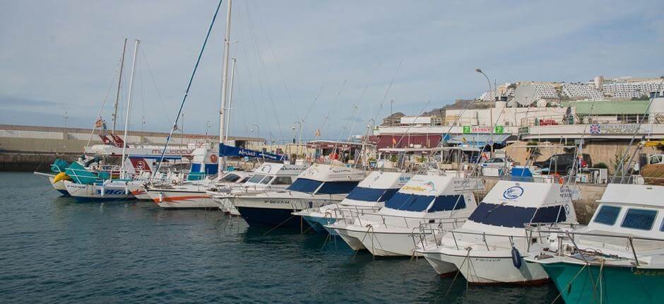 Sporthaven van Puerto Rico Marina's en jachthavens op Gran Canaria