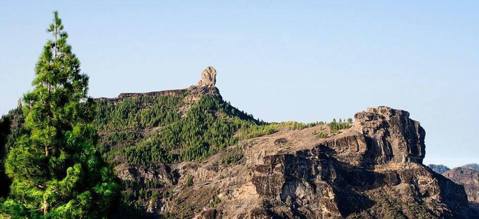 Roque Nublo + wandelroutes op Gran Canaria