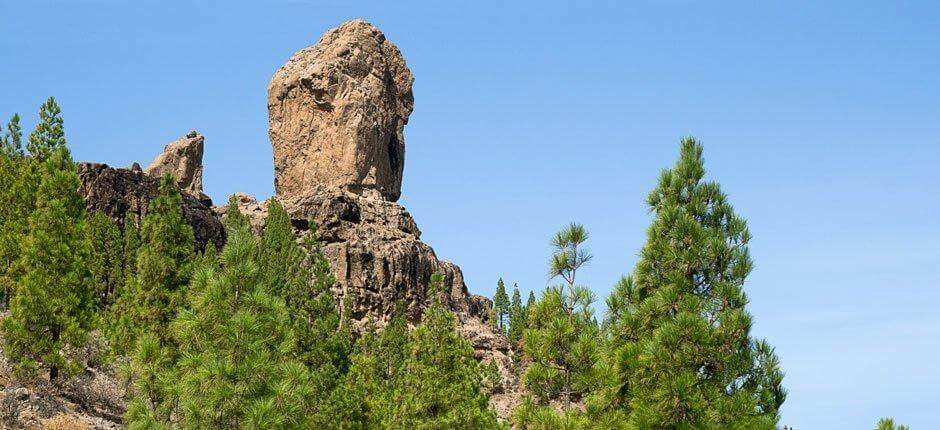 Roque Nublo + wandelroutes op Gran Canaria