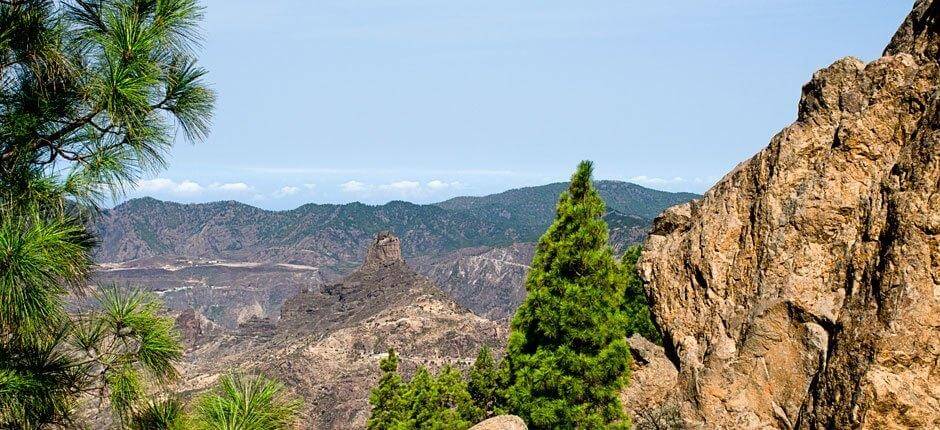 Roque Nublo + wandelroutes op Gran Canaria