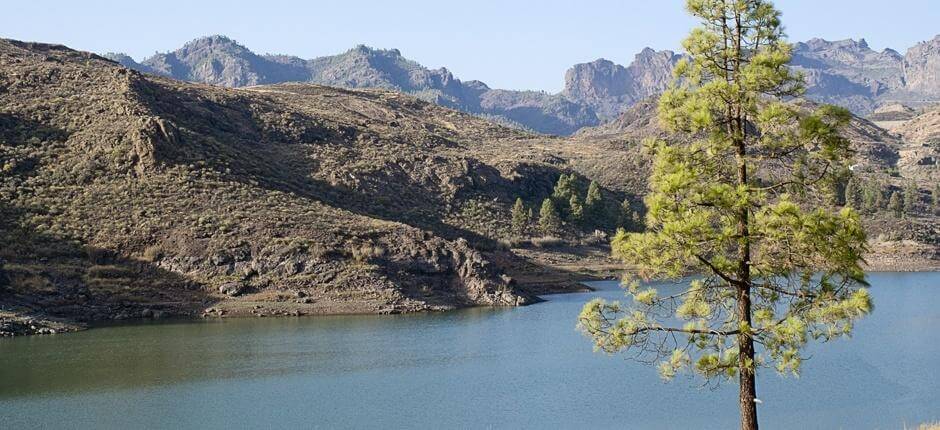 wandelen op de ‘Ruta de las Presas’ + wandelroutes op Gran Canaria