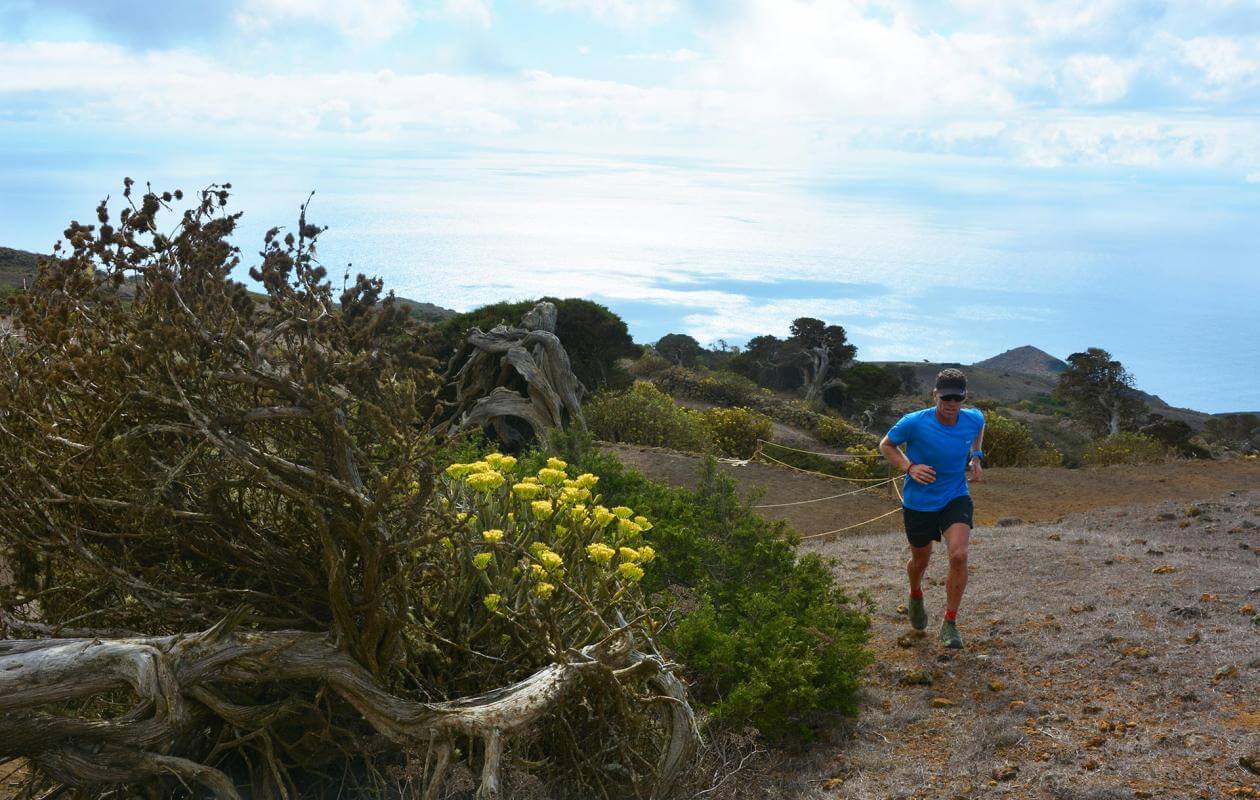 Sabinosa-Trail