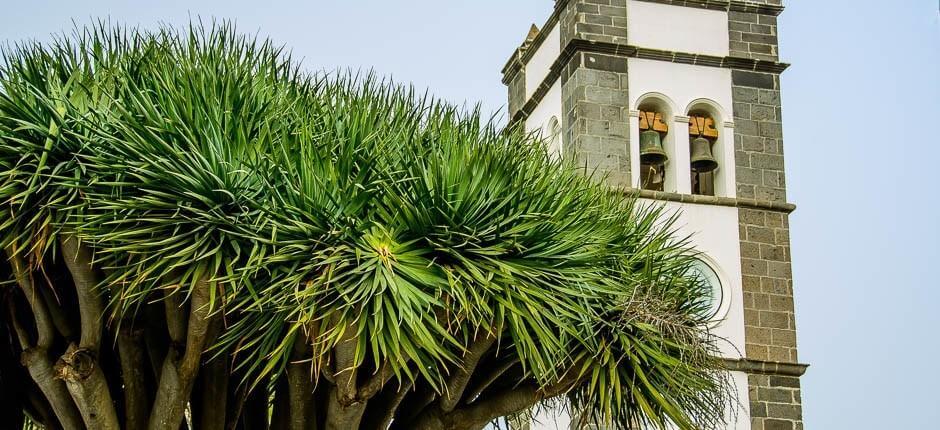 Tegueste pueblos con encanto de Tenerife