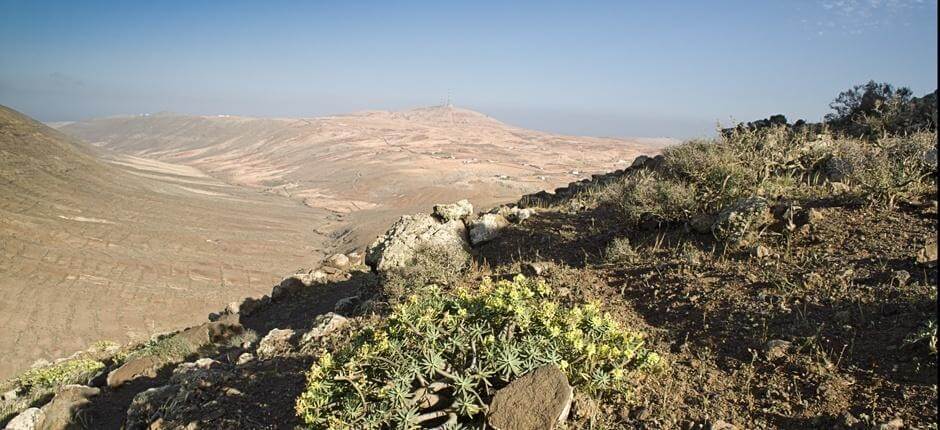 Vallebrón + wandelroutes op Fuerteventura