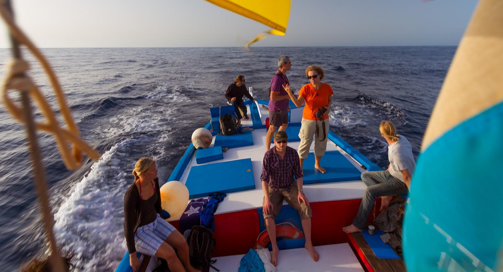 Avistamiento de cetáceos en un "Barco Azul"