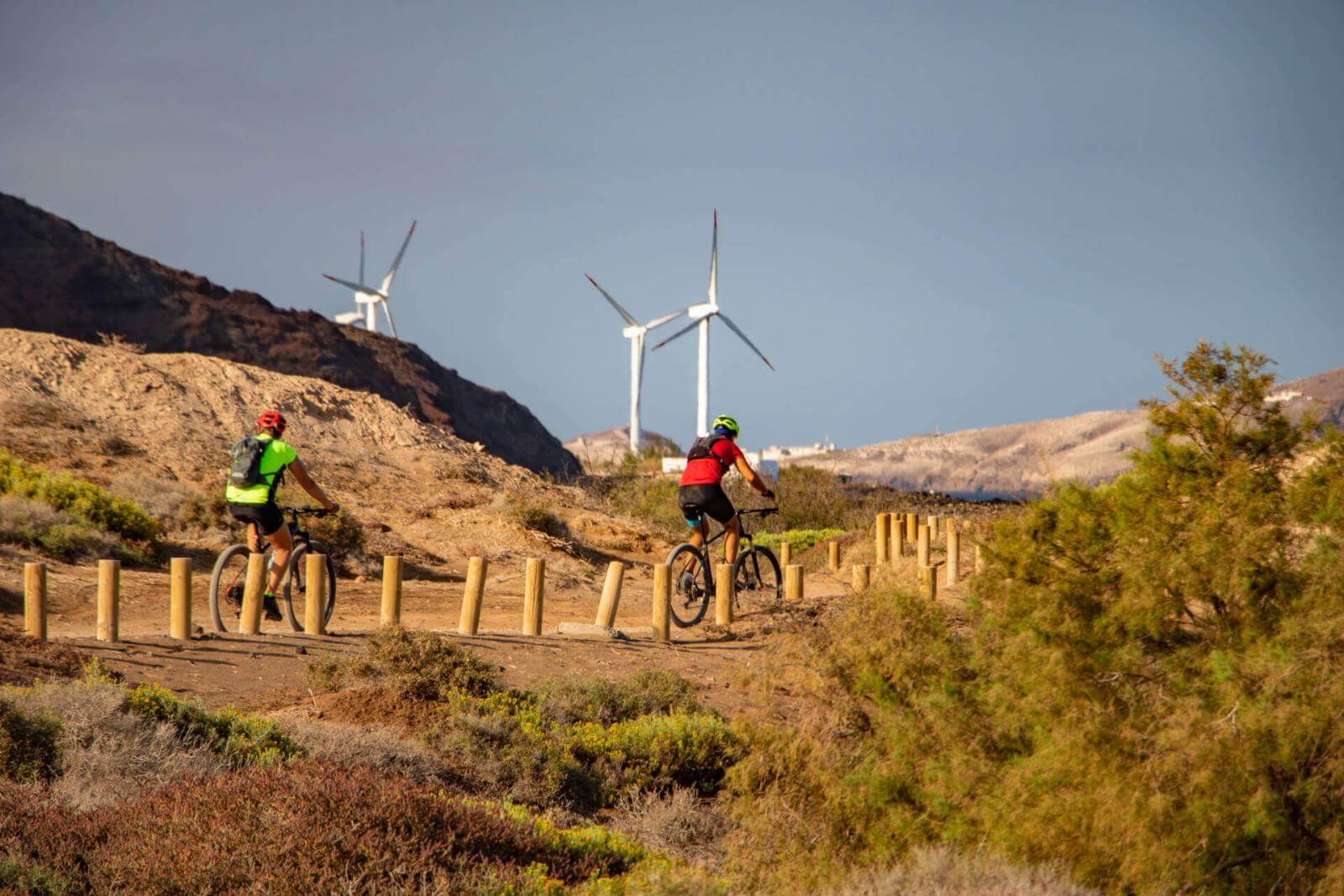 bicis_molinos slvr