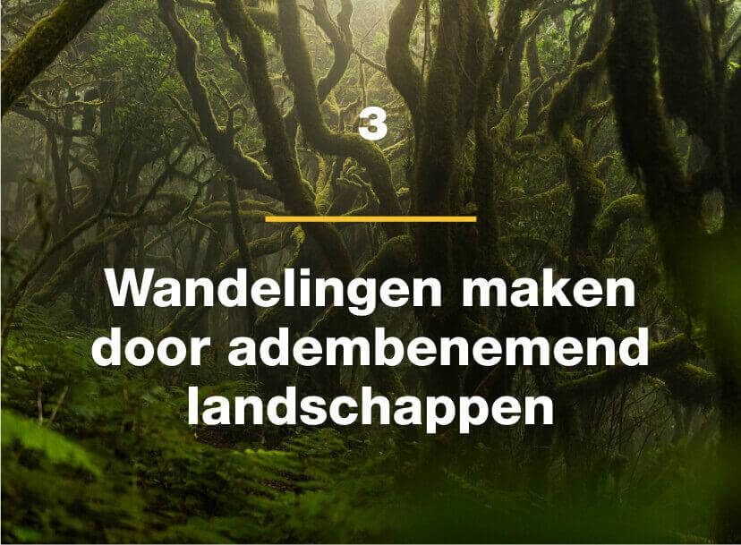 Wandelingen maken door adembenemend landschappen.